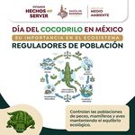 Proteger al Cocodrilo es proteger nuestros ecosistemas